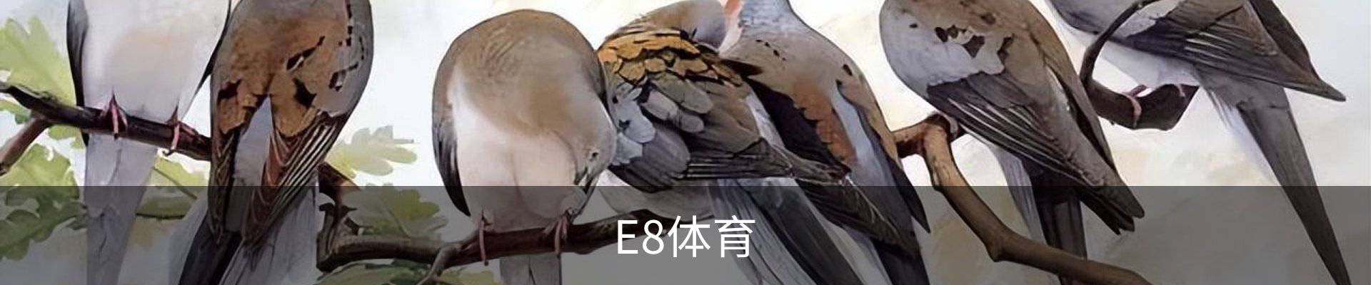 E8体育(中国)官方网站